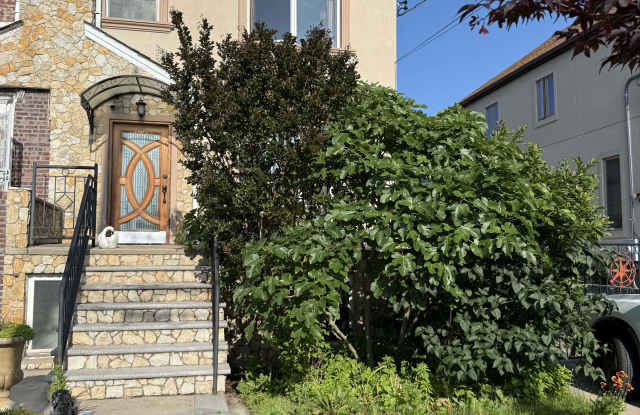 162 Mackenzie Street photos photos