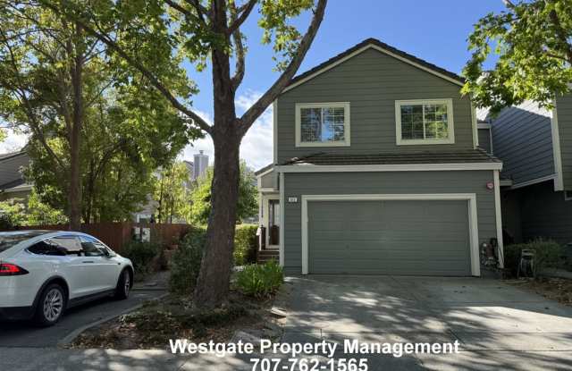 Beautifully Remodeled 3/2.5 Townhome - 813 Chardonnay Circle Gallery 4