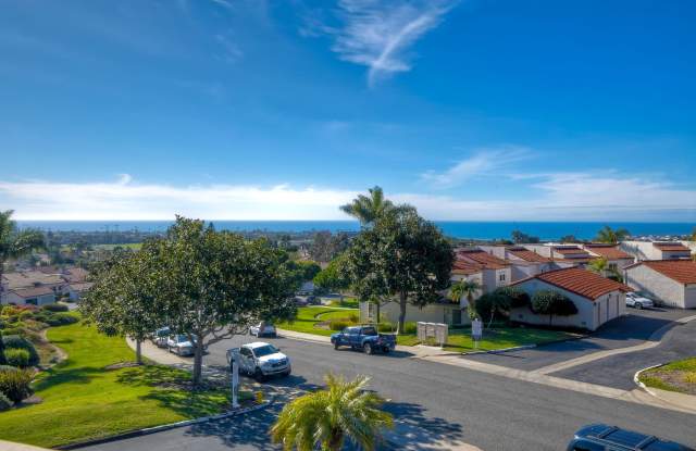 6675 Paseo Del Norte Gallery 4