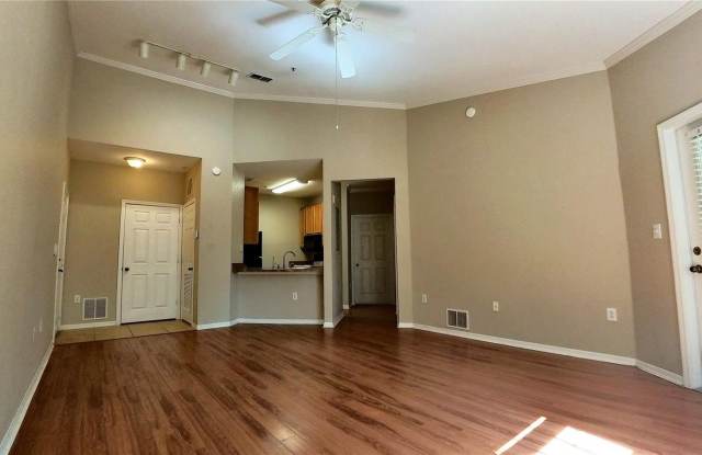 10017 COURTNEY PALMS BOULEVARD photos photos
