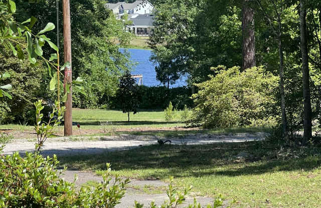 115 Candy Cane Ln - 115 Candy Cane Lane, Lexington County, SC 29072