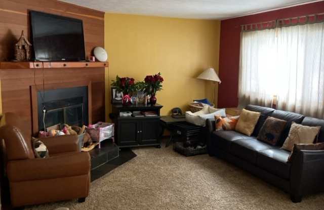 Woodworks Townhomes--Large 2 Bedroom/2Bath Unit on the Bus Route photos photos