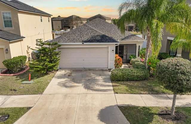 1313 TRAILWATER STREET - 1313 Trailwater Street, Ruskin, FL 33570