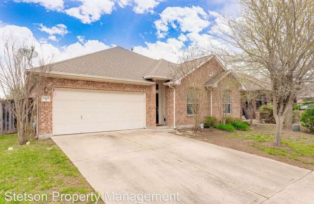 13405 Arbor View Lane - 13405 Arbor View Lane, Travis County, TX 78653