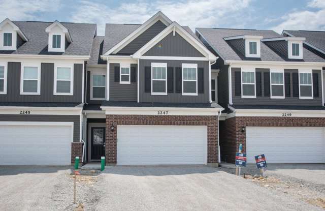 2247 Horseshoe Circle - 2247 Horseshoe Circle, Will County, IL 60585