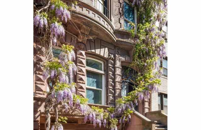 33 West 74th Street photos photos