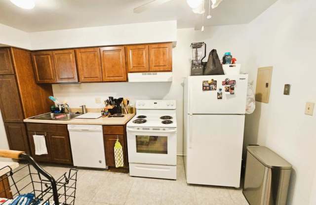 1215 South Forums Ct. - 1215 South Forums Court, Wheeling, IL 60090