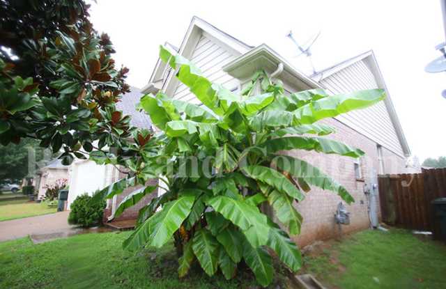 9780 Misty Pine Drive Gallery 4