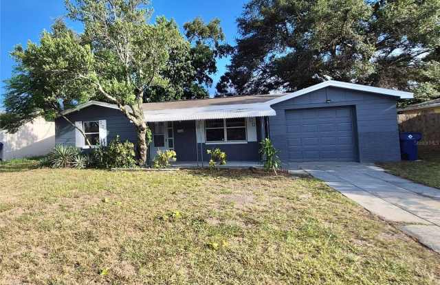 4802 TRAFFORD ROAD - 4802 Trafford Road, Holiday, FL 34690