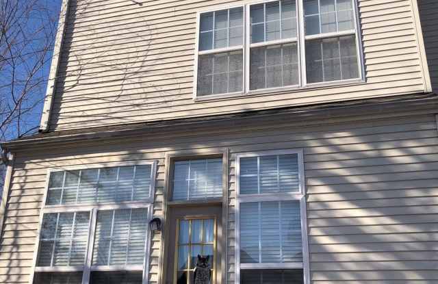 20342 BOWFONDS STREET Gallery 4