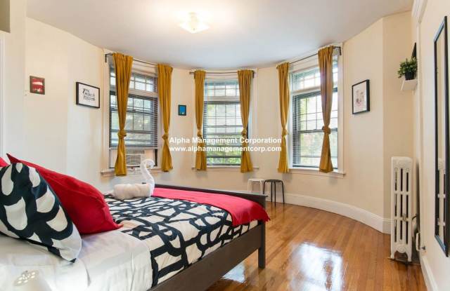 Amazing Coolidge Corner Apt right by T, Shopping, Nightlife and Restaurants.  Quick commute to BU! Gallery 3