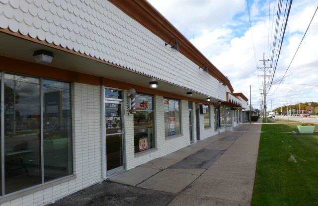 8286 12 MILE Gallery 4