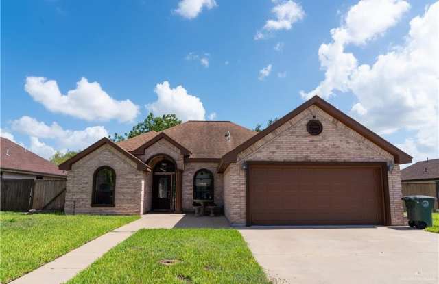 2009 Roman Street - 2009 Roman Street, Mission, TX 78573