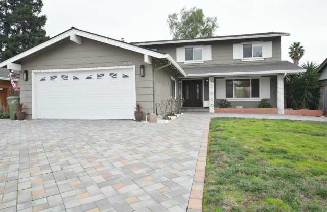 Beautifully Updated 5 Bedroom and 3 Bath Home in Desirable Blossom Valley Neighborhood! photos photos