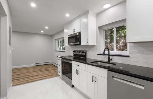 Charming 1BR Condo in Newtonville Gallery 4