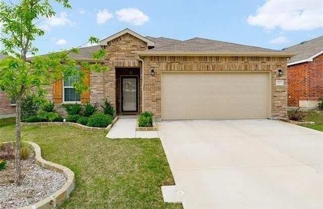 317 Mariscal Place - 317 Mariscal Place, Fort Worth, TX 76131