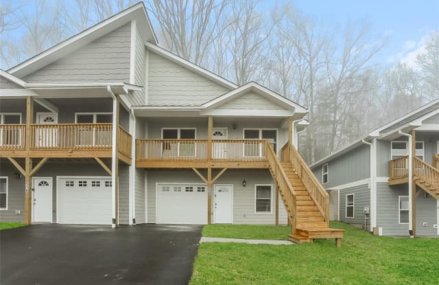 520 Sycamore Branch Road - 520 Sycamore Branch Road, Buncombe County, NC 28803