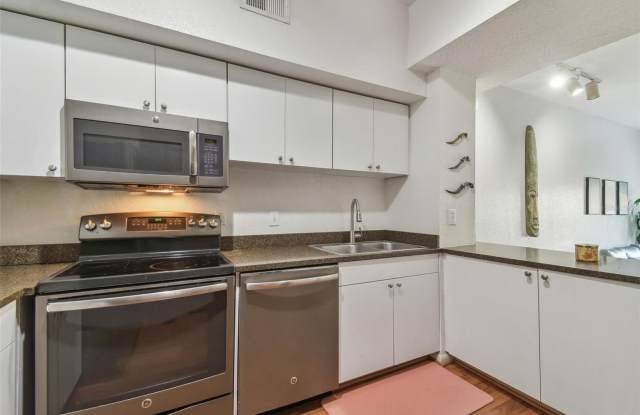 2440 W HORATIO STREET Gallery 4