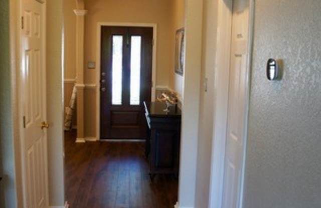 2736 WAR ADMIRAL Gallery 2
