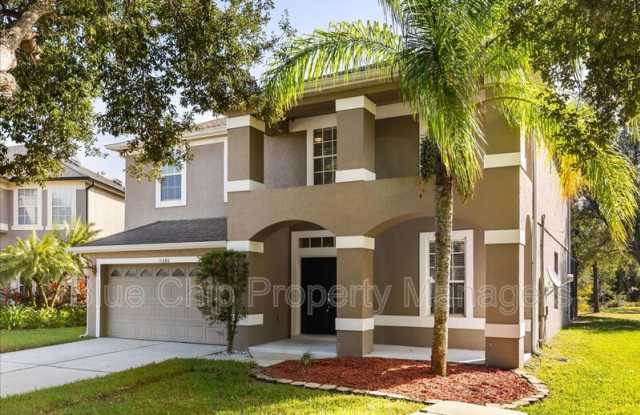 11080 Taeda Drive - 11080 Taeda Drive, Orange County, FL 32832