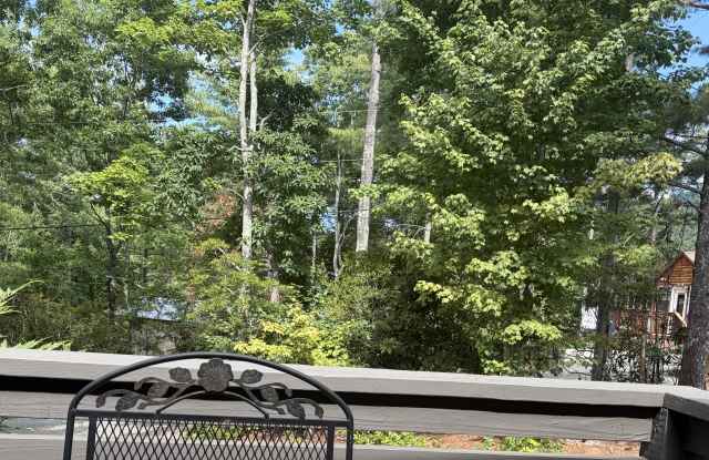 384 Bear Cub Drive photos photos