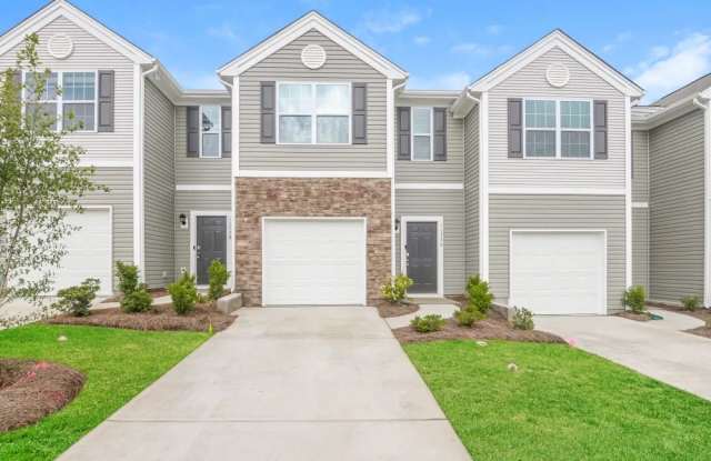 11734 Brier Village Ln - 11734 Brier Village Lane, Mecklenburg County, NC 28262