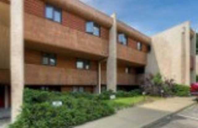 Evergreen Apartments photos photos