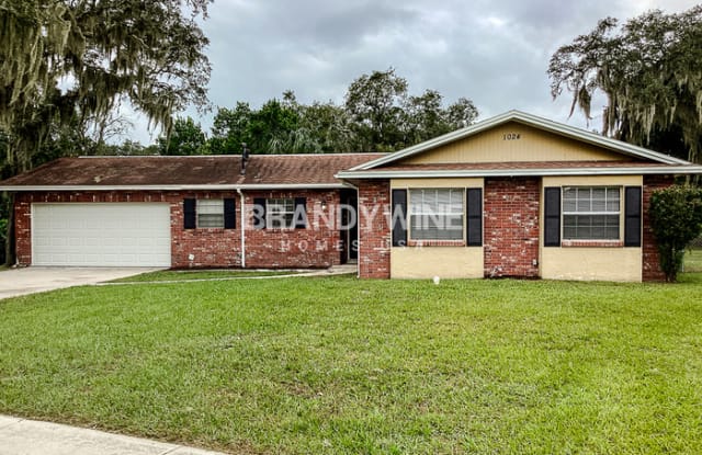 1024 Hallwood Loop - 1024 Hallwood Loop, Bloomingdale, FL 33511