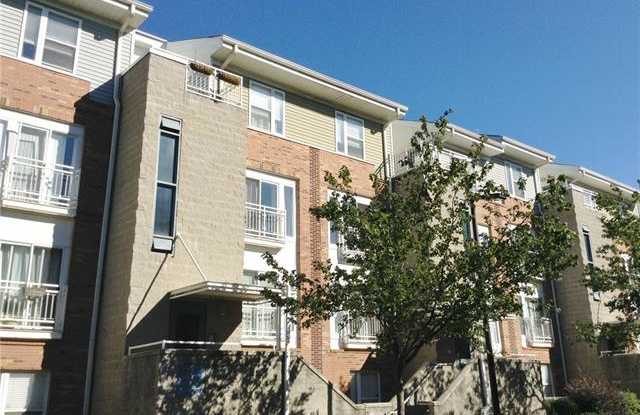 520 Donatello Avenue - 520 Donatello Avenue, Charlotte, NC 28205