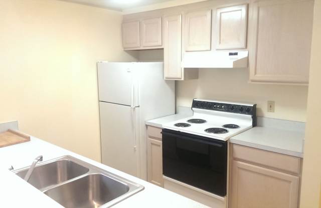 Harvard photos photos