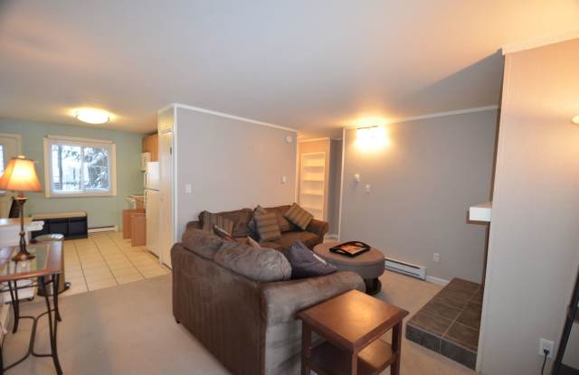 Price Reduced! Blue River Condo! Bus route and additional storage! Year lease! Unfurnished Gallery 1
