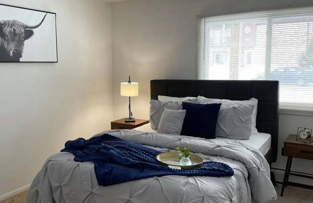 Springtree photos photos