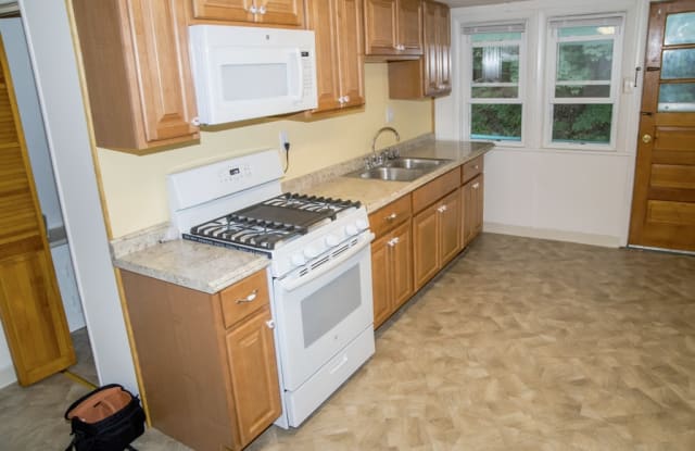 250 Kelly Street - 250 Kelly Street, Luzerne, PA 18709