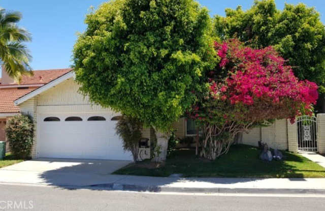 91 Nighthawk photos photos