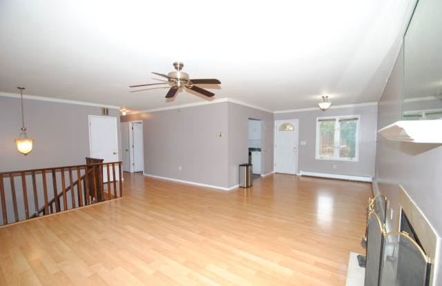 Gorgeous 4 bed / 2 bath with Heated Garage Gallery 4