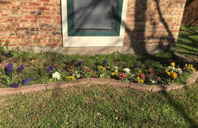 1318 Wisteria Way Gallery 2