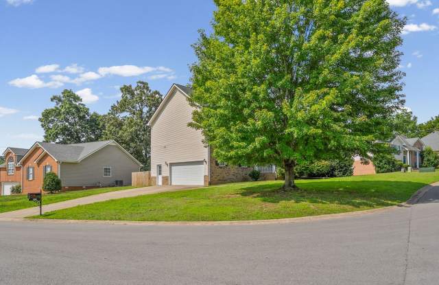 Pet Friendly in Sango! Gallery 3