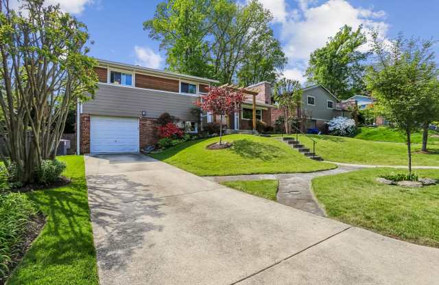 Amazing 5BR/3BA Home in Bethesda,MD - Ready early July! photos photos
