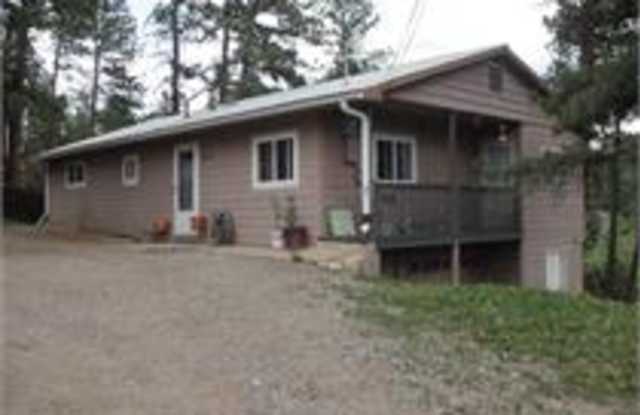 28757 Buffalo Park Road - 28757 Buffalo Park Road, Evergreen, CO 80439