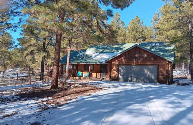 Sweet Antelope photos photos