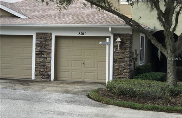 8161 STONE LEAF LANE - 8161 Stone Leaf Lane, Tampa, FL 33647