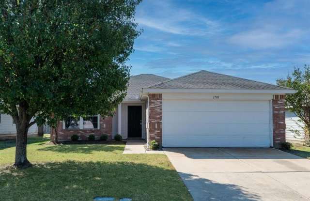 1705 Willow Way - 1705 Willow Way, Anna, TX 75409