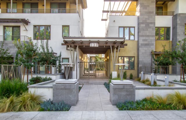 239 S Marengo Avenue - 239 S Marengo Ave, Pasadena, CA 91105