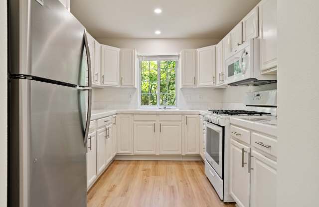 Newly renovated downstairs 1 bedroom 1 bath. photos photos