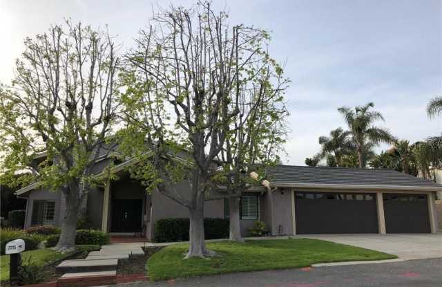 35402 Camino Capistrano - 35402 Camino Capistrano, Dana Point, CA 92624