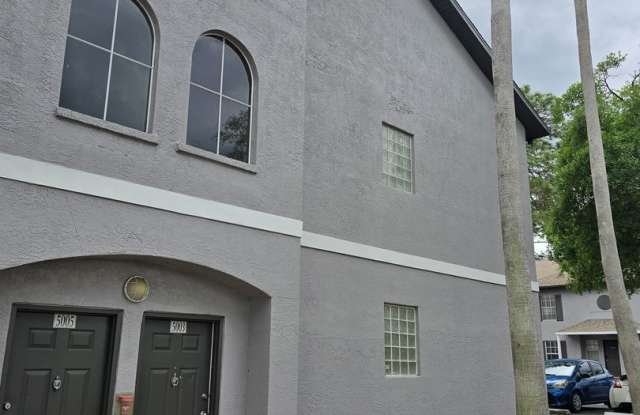 Large Sunridge Palms townhome across from USF! photos photos