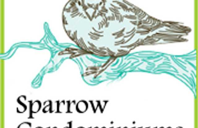Sparrow 1/1 photos photos Sparrow 1/1 photos photos