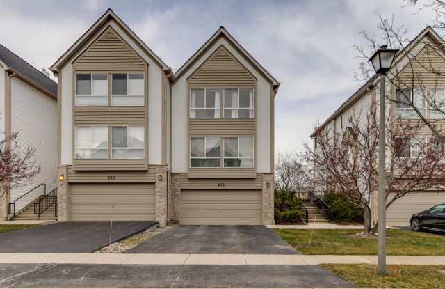 672 Diamond Pointe Drive - 672 Diamond Pointe Drive, Mundelein, IL 60060