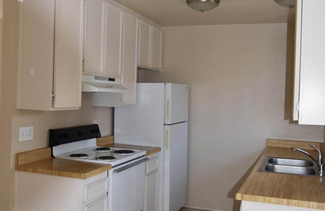 253 Tamarack Avenue - F Gallery 4