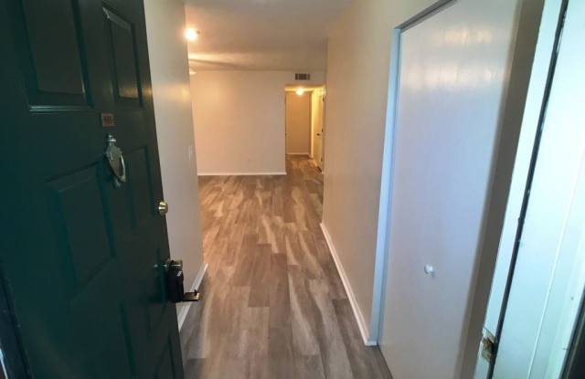 905 Wynnes Ridge Circle Gallery 4